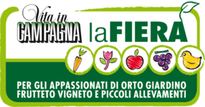 il dispositivo contro umidità di risalita a Montichiari