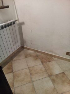 umidità di risalita